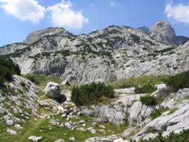 Stari katun (cestou k Ledene pećině)