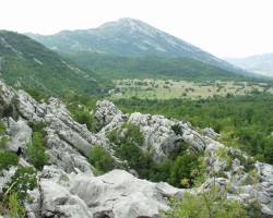 Dragaljsko polje