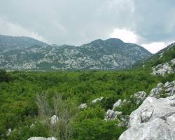 Dragaljsko polje