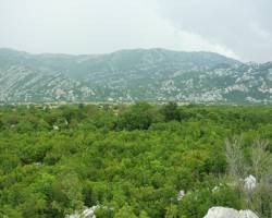 Dragaljsko polje