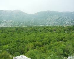 Dragaljsko polje