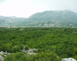 Dragaljsko polje