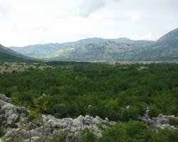 Dragaljsko polje
