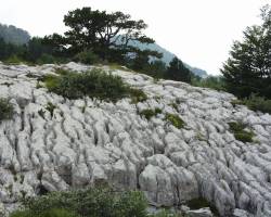 Škrapy pod Orjenem