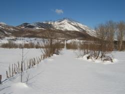 Dvrsnik