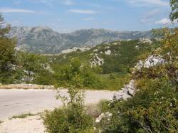 Dragaljsko polje