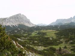 Pfaffingalm