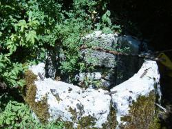 Studna Bogdan