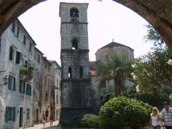 Kotor