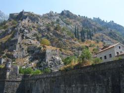 Kotor