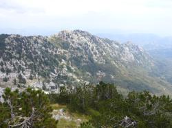 Velje leto