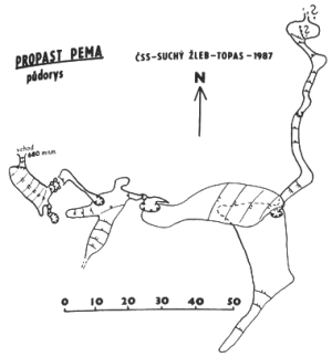 Pema - půdorys Pema - půdorys