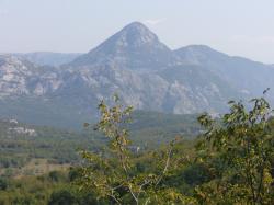 Velji vrh