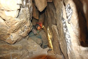 IMG_8478