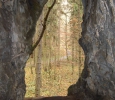 Fotografie z galerie