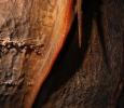 Fotografie z galerie