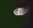 Fotografie z galerie