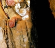 Fotografie z galerie