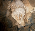 Fotografie z galerie