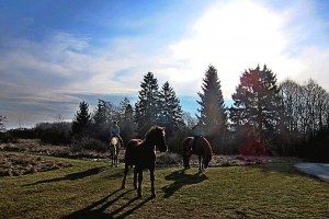 IMG0676