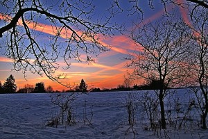 IMG_1108