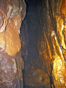 IMG_1211