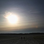 IMG_8669_(2)