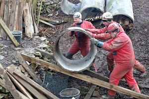IMG_8687