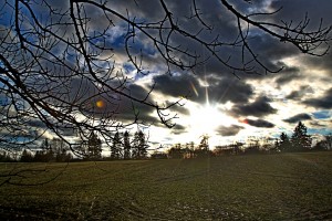 IMG_8713