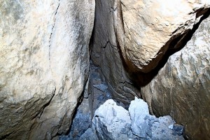 IMG_8766